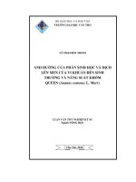 Ảnh hưởng của phân sinh học và dịch lên men của vi khuẩn đến sinh trưởng và năng suất khóm queen (ananas comosus l  merr)