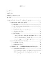 Xây dựng mô hình phổ phát xạ của vật liệu nhiệt phát quang mgb4o7 pha tạp dy