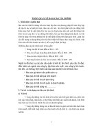 Đề tài tổng quan về báo cáo tài chính