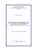Khảo sát hiệu quả phòng trị bệnh lúa von lây lan qua đất của vi khuẩn đối kháng bacillus trong điều kiện nhà lưới
