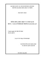 Dòng hóa, biểu hiện và tinh sạch beta – galactosidase trong Escherichia coli