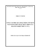 luận văn thạc sĩ nâng cao hiệu quả hoạt động tín dụng ngân hàng đối với sự phát triển của doanh nghiệp nhỏ và vừa (tóm tắt)