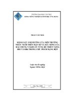 Khảo sát ảnh hưởng của môi trường nuôi nhân trên mật số và sức sống của hai chủng vi khuẩn vùng rễ triển vọng rb1 và rb6 trong chế phẩm dạng bột