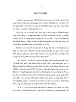 đánh giá tác dụng của viên luotai trong hỗ trợ điều trị bệnh nhân nhồi máu não sau giai đoạn cấp