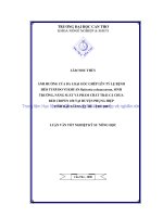 Ảnh hưởng của ba loại gốc ghép lên tỷ lệ bệnh héo tươi do vi khuẩn raltstonia solanacearum, sinh trưởng, năng suất và phẩm chất trái cà chua red crown 250 tại huyện phụng hiệp tỉnh hậu giang vụ hè   thu 2007