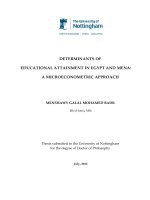 DETERMINANTS OF  EDUCATIONAL ATTAINMENT  IN EGYPT AND MENA: A  MICROECONOMETRIC  APPROACH