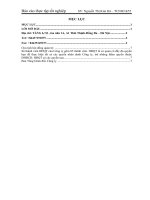 báo cáo thực tập tài chính tại công ty cổ phần vận tải biển viship