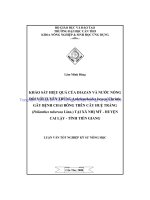 Khảo sát hiệu quả của diazan và nước nóng đối với tuyến trùng aphelenchoides besseyi christie gây bệnh chai bông trên cây huệ trắng (polianthes tuberosa linn ) tại xã nhị mỹ   huyện cai lậy   tỉnh tiền giang