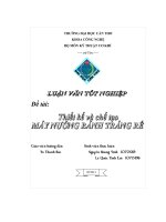 Đề tài Thiết kế và chế tạo máy nướng bánh tráng rế