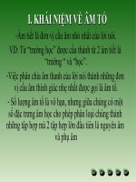 âm tố và hiện tượng ngôn điệu