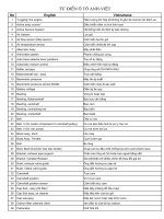 từ điển chuyên ngành ô tô