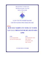 Nghiên cứu áp dụng sản xuất sạch hơn tại nhà máy chế biến đông lạnh thủy sản hùng cá