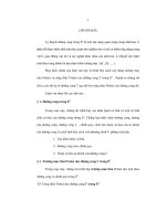 đường cong trong e5 luận văn thạc sĩ toán học