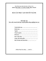 Sản xuất etanol sinh học từ phế phẩm nông nghiệp(rơm rạ)