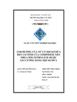 Ảnh hưởng của xử lý sợi xơ dừa đến cơ tính của composite nền nhựa polyethylene được gia cường bằng sợi xơ dừa