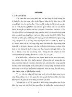 đặc điểm lâm sàng của các chủng nấm candida sp. phân lập được trên bệnh nhân có hội chứng tiết dịch âm đạo tại bệnh viện phong và da liễu tỉnh sơn la