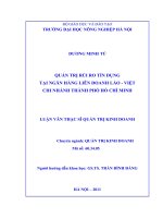 Quản trị rủi ro tín dụng tại ngân hàng liên doanh lào   việt chi nhánh thành phố hồ chí minh