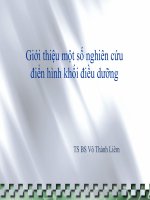 Giới thiệu một số nghiên cứu điển hình khối điều dưỡng