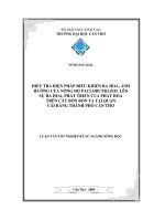 Điều tra biện pháp điều khiển ra hoa, ảnh hưởng của nồng độ paclobutrazol lên sự ra hoa, phát triển của phát hoa trên cây bòn bon ta tại quận cái răng thành phố cần thơ