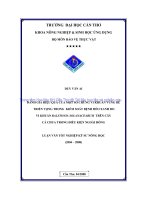 Đánh giá hiệu quả của một số chủng vi khuẩn vùng rễ triển vọng trong kiểm soát bệnh héo xanh do vi khuẩn ralstonia solanacearum trên cây cà chua trong điều kiện ngoài đồng