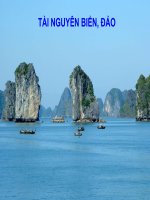 Tai nguyên biển đảo