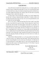 một số giải pháp giúp hoàn thiện công tác kế toán bán hàng và xác định kết quả kinh doanh tại công ty tnhh thương mại và đầu tư xây dựng cúc phương.