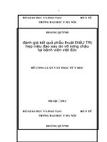 đánh giá kết quả phẫu thuật điều trị hẹp niệu đạo sau do vỡ xương chậu tại bệnh viện việt đức