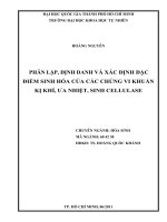 Phân lập, định danh và xác định đặc điểm sinh hóa của các chủng vi khuẩn kị khí, ưa nhiệt, sinh cellulase
