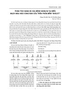 Phân tích dáng đi của bệnh nhân bị tai biến mạch máu não vùng bán cầu trên phần mềm skelet