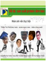 Tiểu luận công nghệ sản xuất protein đơn bào slide