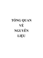Đề tài qui trình công nghệ sản xuất bao tử cá basa nhồi thịt đóng hộp