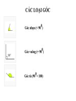 Bài giảng hay hình lớp 8