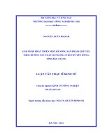 giải pháp phát triển một số nông sản phẩm chủ yếu theo hướng sản xuất hàng hóa ở huyện yên dũng, tỉnh bắc giang