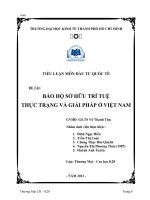 TIỂU LUẬN MÔN ĐẦU TƯ QUỐC TẾ BẢO HỘ SỞ HỮU TRÍ TUỆ THỰC TRẠNG VÀ GIẢI PHÁP Ở VIỆT NAM