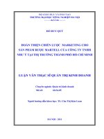 hoàn thiện chiến lược marketing cho sản phẩm rượu martell của công ty tnhh như ý tại thị trường thành phố hồ chí minh