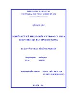 nghiên cứu kỹ thuật ghép và trồng cà chua ghép trên địa bàn tỉnh bắc giang