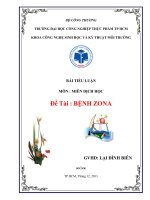 Tiểu luận Miễn dịch học: Bệnh zona