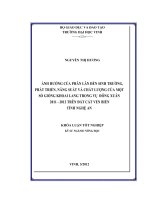 Ảnh hưởng của phân lân đến sinh trưởng, phát triển, năng suất và chất lượng của một số giống khoai lang trong vụ đông xuân 2011   2012 trên đất cát ven biển tỉnh nghệ an