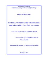 giải pháp mở rộng thị trường tiêu thụ sản phẩm của công ty vissan