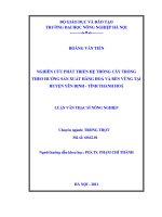 nghiên cứu phát triển hệ thống cây trồng theo hướng sản xuất hàng hoá và bền vững tại huyện yên định, tỉnh thanh hoá