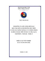 Ảnh hưởng của liều lượng phân kali khác nhau đến sự sinh trưởng phát triển và năng suất giống ngô rau LVN 23 trồng trong vụ đông năm 2011 trên nền đất cát pha tại xã nghi phong   nghi lộc   nghệ an