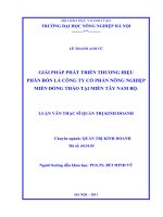 giải pháp phát triển thương hiệu phân bón lá công ty cổ phần nông nghiệp miền đồng thảo tại miền tây nam bộ