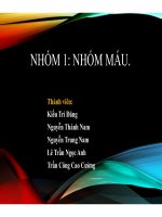 Báo cáo cuối kì về Nhóm máu