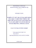 nghiên cứu mức độ gây hại, biến động số lượng và biện pháp phòng trừ nhện gié steneotarsonemus spinki smiley hại lúa vụ mùa 2009 và vụ xuân 2010 tại huyện hiệp hòa, tỉnh bắc giang