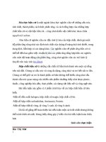 Bài tiểu luận Hóa hữu cơ