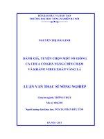đánh giá, tuyển chọn một số giống cà chua có khả năng chín chậm và kháng virus xoăn vàng lá