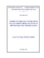 nghiên cứu hiệu quả vùi phụ phẩm của cây trồng trong cơ cấu ba vụ trên đất bạc màu tỉnh bắc giang