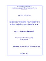 nghiên cứu tình hình thất nghiệp tại thành phố bắc ninh, tỉnh bắc ninh
