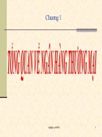 SLIDE chương 1 tổng quan về ngân hàng thương mại