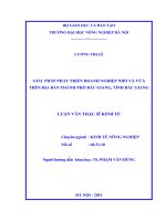 giải pháp phát triển doanh nghiệp nhỏ và vừa trên địa bàn thành phố bắc giang, tỉnh bắc giang